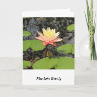Lily Pad Schönheit! Karte