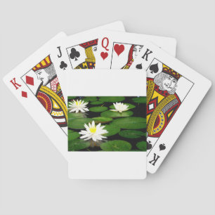 Lily Pad Spielkarten