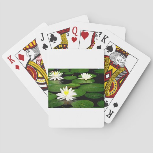 Lily Pad Spielkarten (Rückseite)