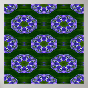 Lily Pad Sterne.... Poster