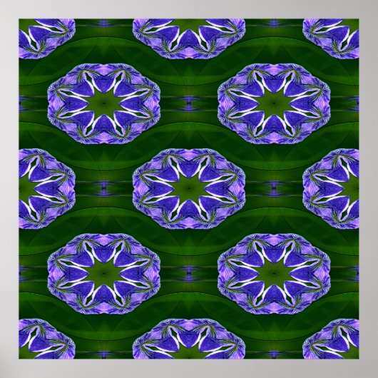 Lily Pad Sterne.... Poster (Vorne)
