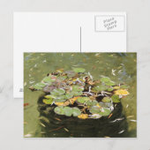Lily Pads # 3 Postkarte (Vorne/Hinten)