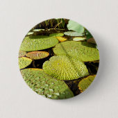 Lily Pads Abzeichen Button (Vorderseite)