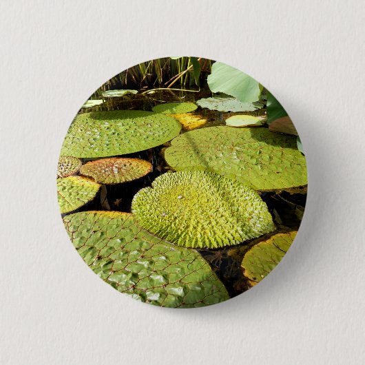 Lily Pads Abzeichen Button (Vorderseite)