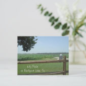 Lily Pads at Reelfoot Lake, Tn Postkarte (Stehend Vorderseite)