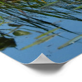 Lily Pads auf dem Mississippi River Fotografy Poster (Ecke)
