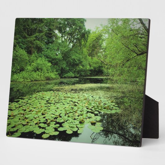 Lily Pads auf dem Teich Fotoplatte (Seite)