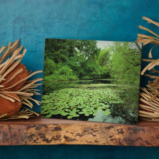 Lily Pads auf dem Teich Fotoplatte (Seite)