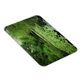 Lily Pads auf dem Teich Magnet (Rechte Seite)