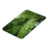 Lily Pads auf dem Teich Magnet (Linke Seite)