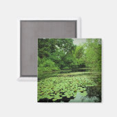 Lily Pads auf dem Teich Magnet (Vorderseite/Rückseite)