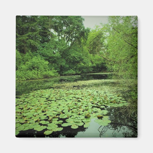 Lily Pads auf dem Teich Magnet (Vorne)