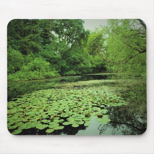 Lily Pads auf dem Teich Mousepad (Vorne)