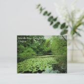 Lily Pads auf dem Teich Postkarte (Stehend Vorderseite)