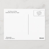 Lily Pads auf dem Teich Postkarte (Rückseite)