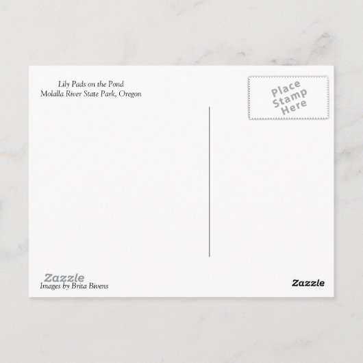 Lily Pads auf dem Teich Postkarte (Rückseite)