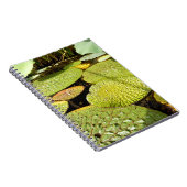 Lily Pads Foto Notebook Notizblock (Rechte Seite)