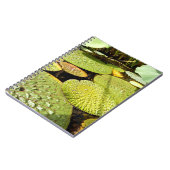 Lily Pads Foto Notebook Notizblock (Linke Seite)