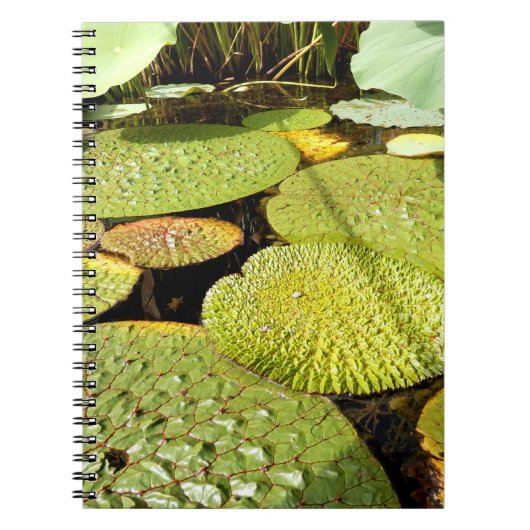 Lily Pads Foto Notebook Notizblock (Vorderseite)