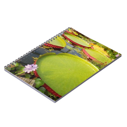 Lily Pads Foto Notebook Notizblock (Linke Seite)