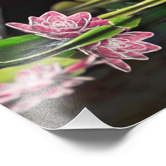 Lily Pads Fotodruck (Ecke)