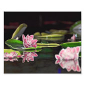Lily Pads Fotodruck (Vorne)