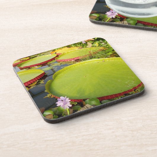 Lily Pads Hard Plastic Untersetzer (Linke Seite)