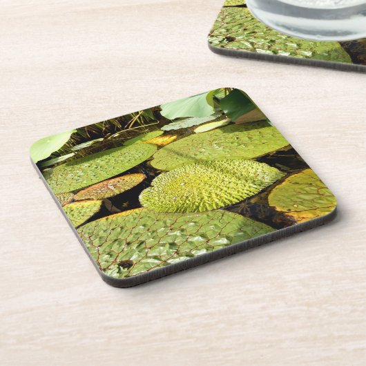 Lily Pads Hard Plastic Untersetzer (Linke Seite)