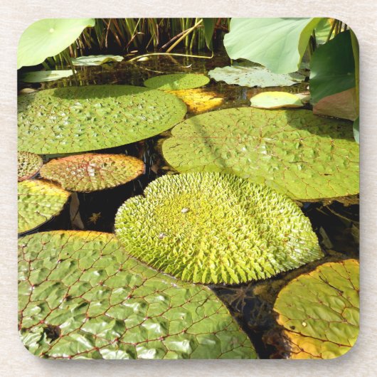 Lily Pads Hard Plastic Untersetzer (Vorderseite)