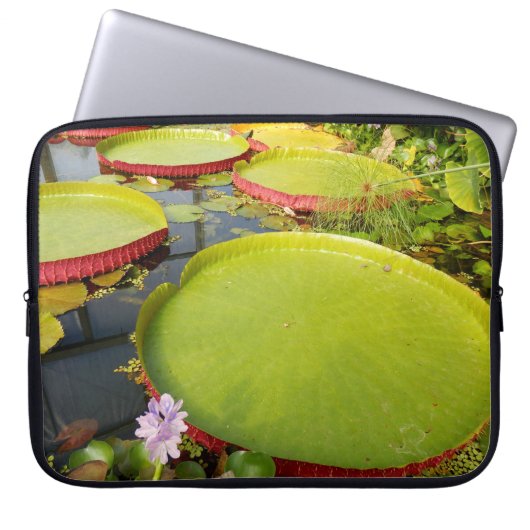 Lily Pads Laptop Sleeve (Vorderseite)