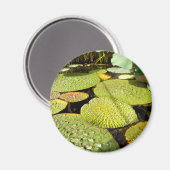 Lily Pads Magnet (Vorderseite/Rückseite)