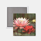 Lily Pads - Magnet (Vorderseite/Rückseite)