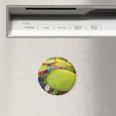 Lily Pads Magnet (In Situ (Geschirrspüler))