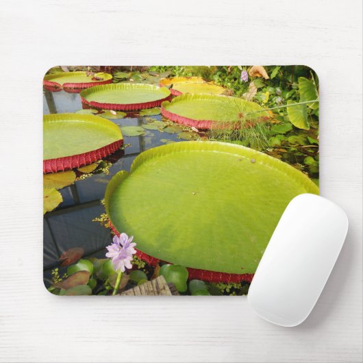 Lily Pads Mouse Mat Mousepad (Mit Mouse)