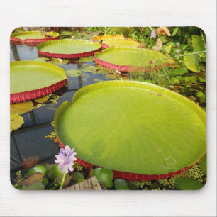 Lily Pads Mouse Mat Mousepad