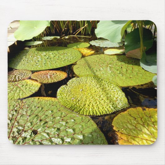 Lily Pads Mouse Mat Mousepad (Vorne)