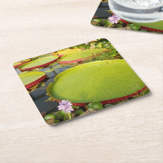 Lily Pads Paper Untersetzer (angewinkelt)
