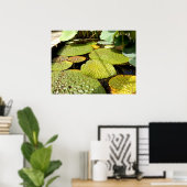 Lily Pads Poster (Heimbüro)