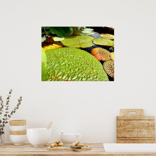 Lily Pads Poster (Küche)
