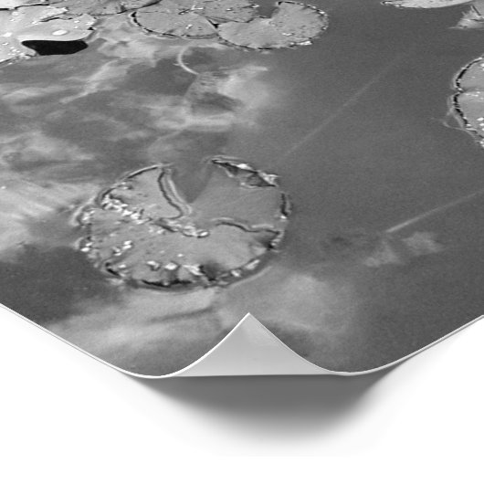 Lily Pads Poster (Ecke)