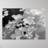 Lily Pads Poster (Vorne)