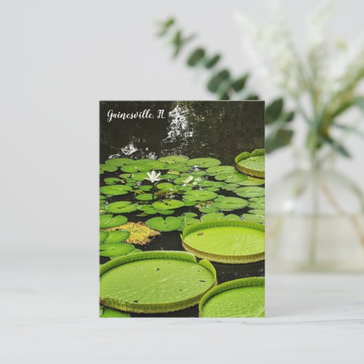 Lily Pads Postkarte (Stehend Vorderseite)