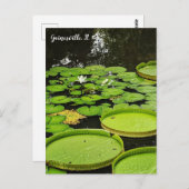 Lily Pads Postkarte (Vorne/Hinten)