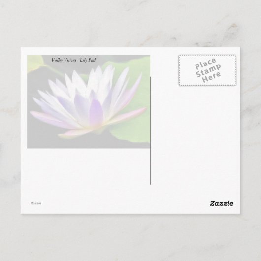 Lily Pads Postkarte (Rückseite)