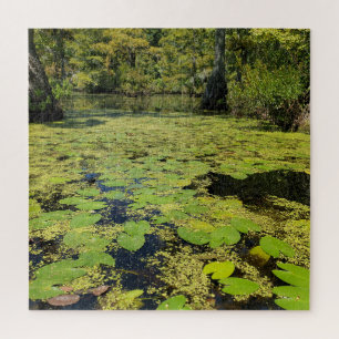 Lily Pads Puzzle