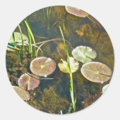 Lily Pads Sticker (Vorderseite)