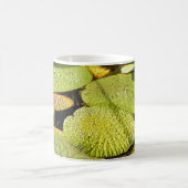 Lily Pads Tasse (Mittel)