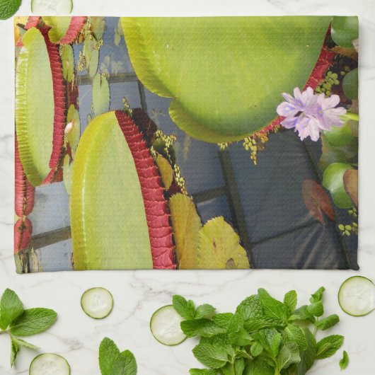 Lily Pads Teetuch Geschirrtuch (Gefaltet)