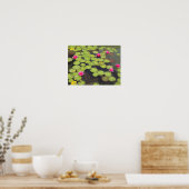 Lily Pads und Lotus Blume Poster (Küche)