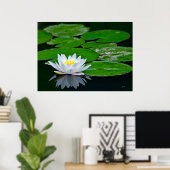 Lily Pads und Lotus Poster (Heimbüro)